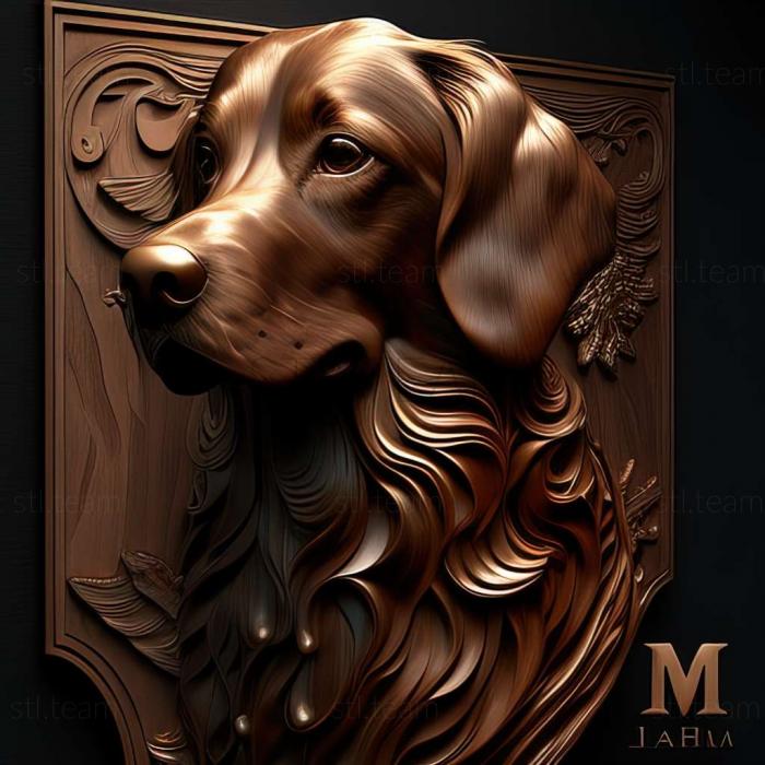 3D model Taigan dog breed dog (STL)